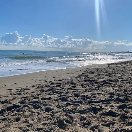 Dream Of Light And The Door