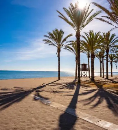 Dream Of Light And The Door *