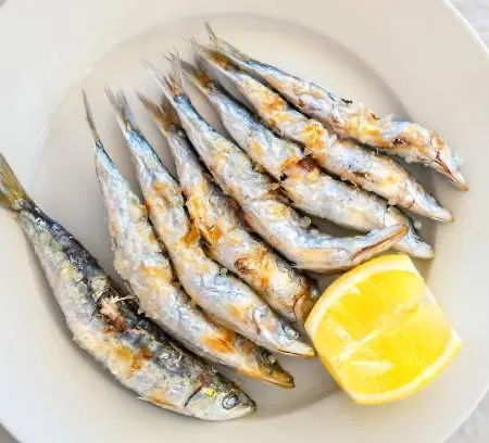 Apartament Dream Of Light And The Door