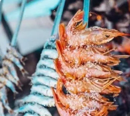 Dream Of Light And The Door