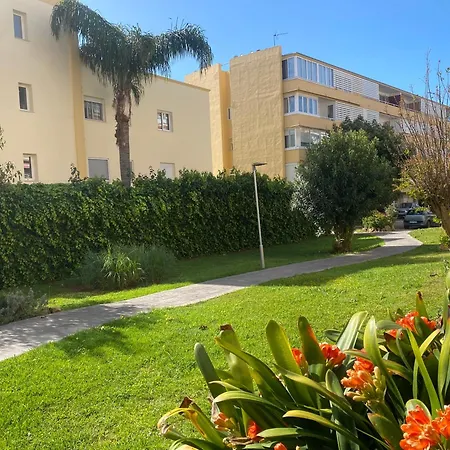 Dream Of Light And The Door * توريمولينوس